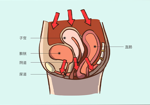 助力女性盆底功能健康发展，28圈推出高频评估电灼仪